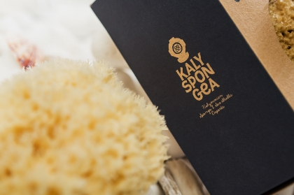 범주 천연 해면의 그림